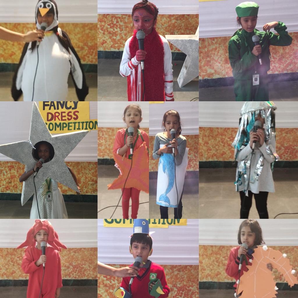 imgi_17_48169798_275229936516757_1785455820918489088_n