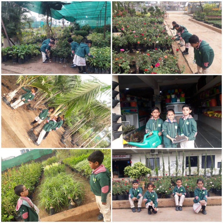 imgi_56_47577479_271102996929451_1842304678063243264_n-768x768