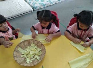 imgi_62_333_result_result-300x219